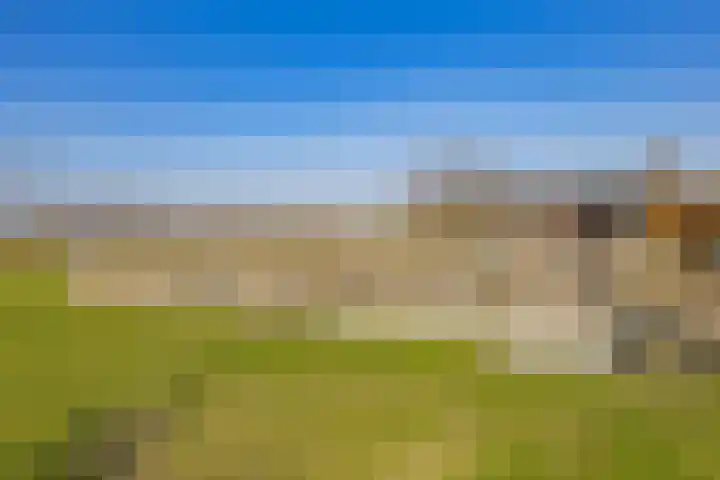 Eikenhorstlaan 5 Voorhout thumbnail 51