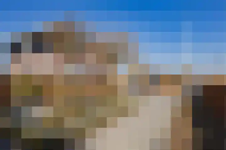 Eikenhorstlaan 5 Voorhout thumbnail 53