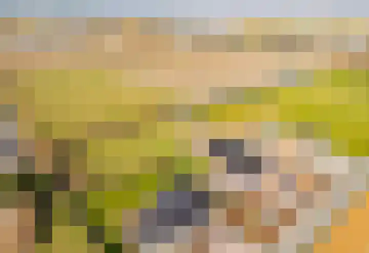 Eikenhorstlaan 5 Voorhout thumbnail 56