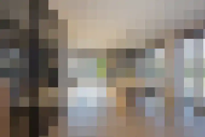 Eikenhorstlaan 5 Voorhout thumbnail 9