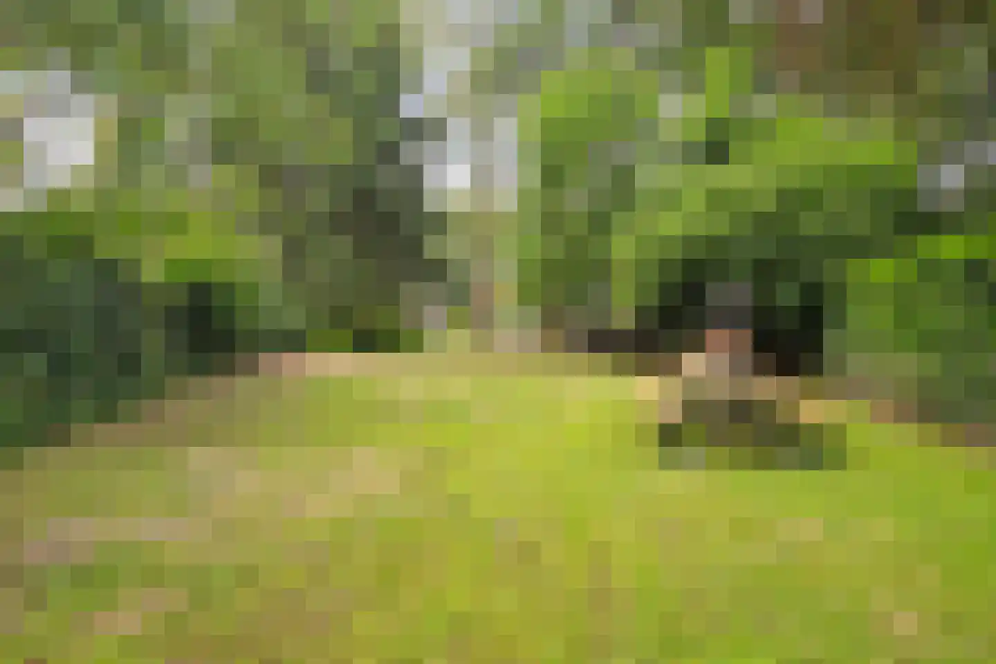 Eikenhorstweg 12 B Soest thumbnail 40