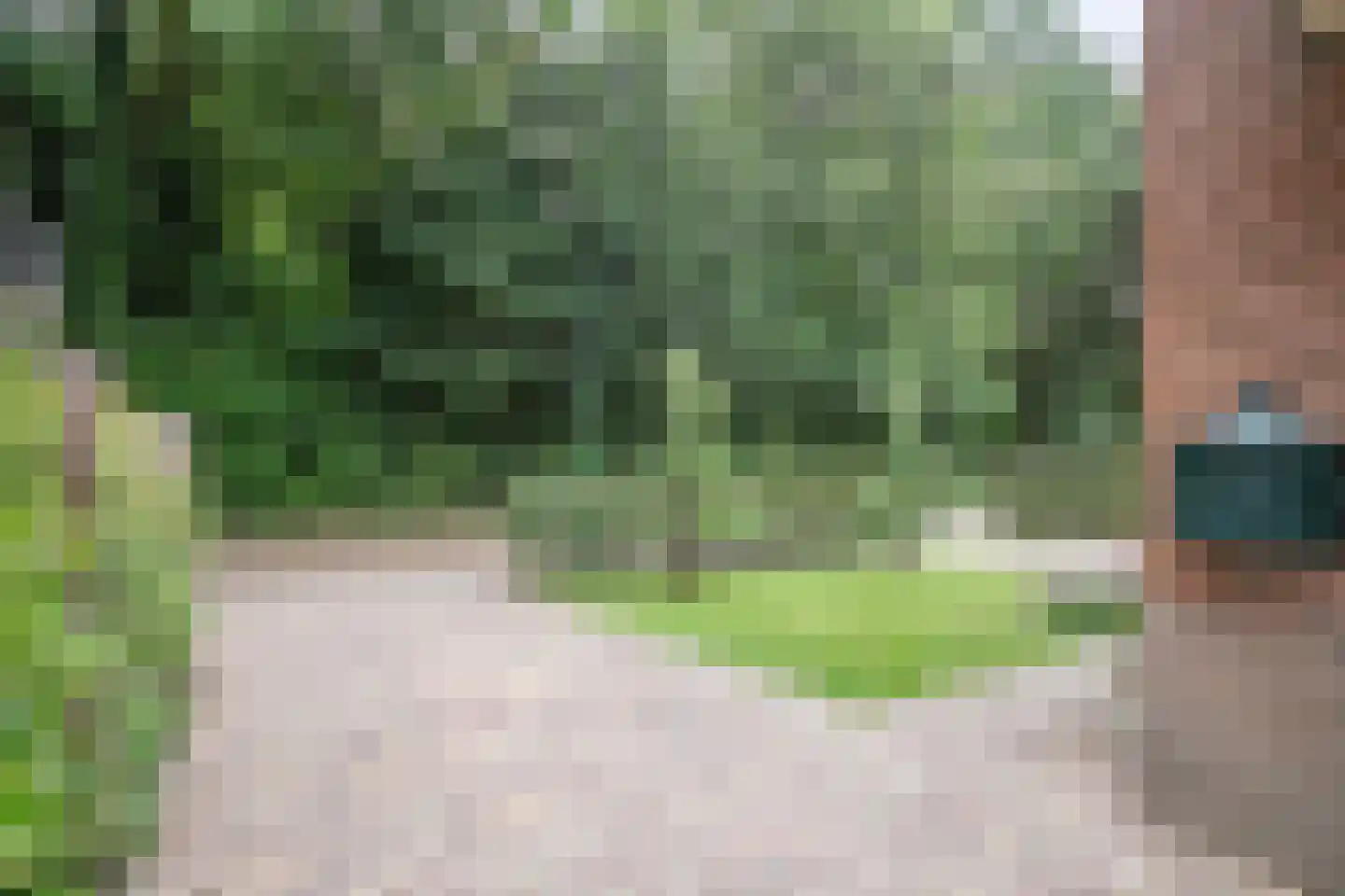 Eikenhorstweg 12 B Soest thumbnail 42