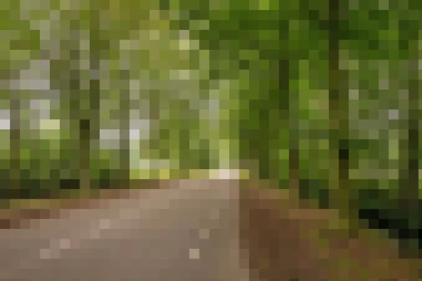 Eikenhorstweg 12 B Soest thumbnail 48