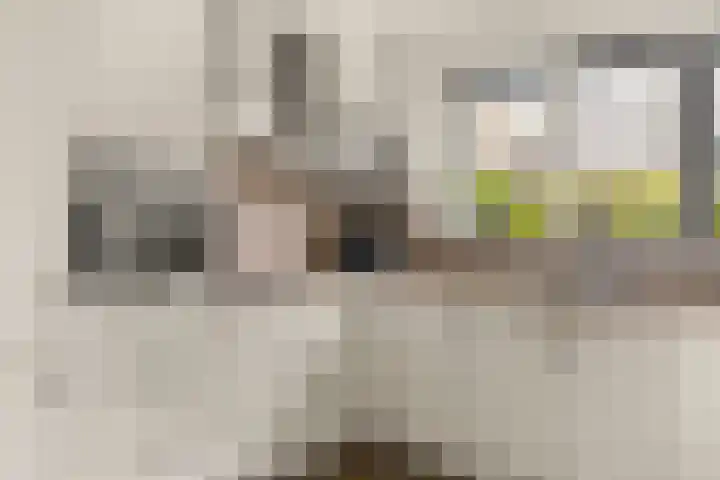 Eikenhout 10 Houten thumbnail 14