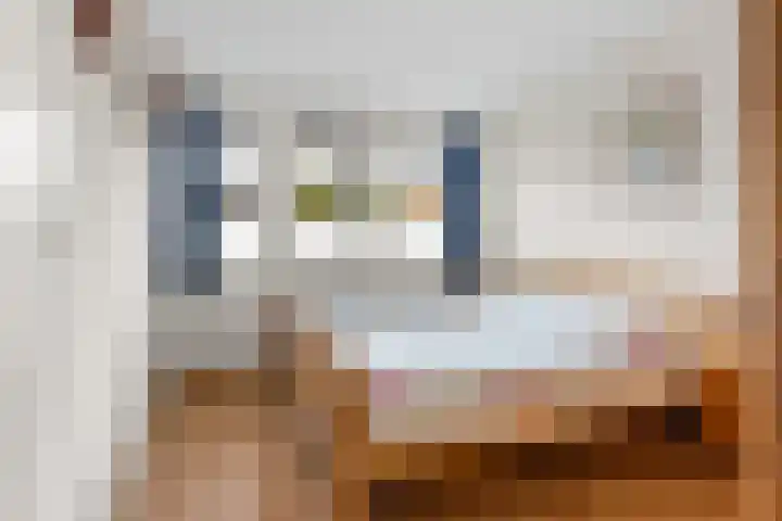 Eikenhout 10 Houten thumbnail 19