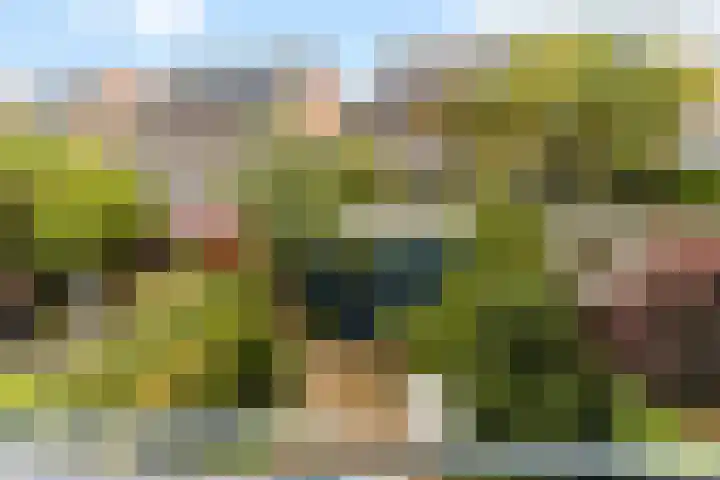Eikenhout 10 Houten thumbnail 28