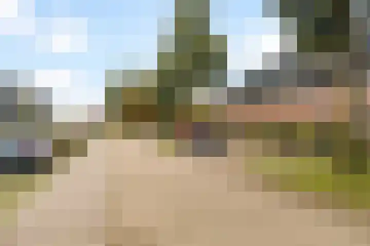 Eikenhout 10 Houten thumbnail 31