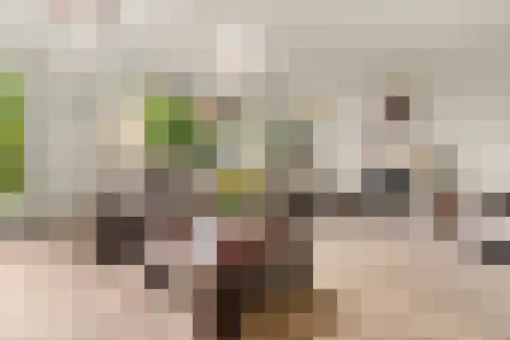 Eikenhout 10 Houten thumbnail 5