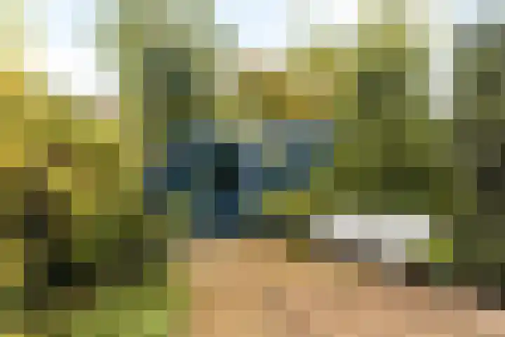 Eikenhout 10 Houten thumbnail 6