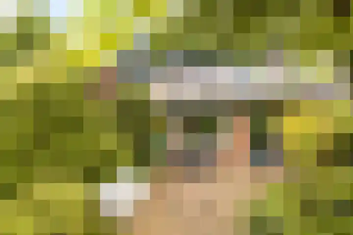 Eikenhout 10 Houten thumbnail 7