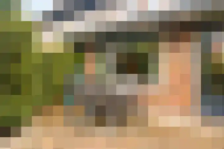 Eikenhout 10 Houten thumbnail 8