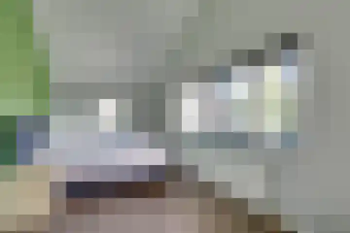 Eikenhout 2 Houten thumbnail 29