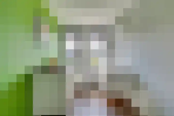 Eikenhout 2 Houten thumbnail 38