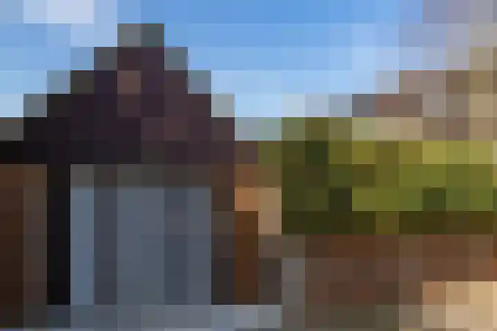 Eikenhout 2 Houten thumbnail 4