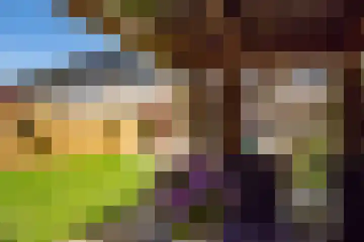 Eikenhout 2 Houten thumbnail 46