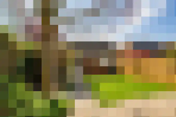 Eikenhout 2 Houten thumbnail 47
