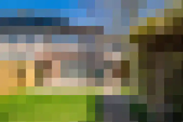 Eikenhout 2 Houten thumbnail 49