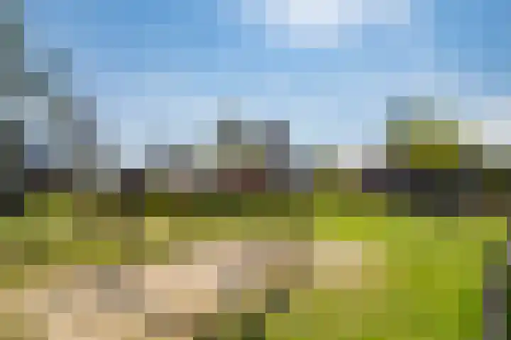 Eikenhout 2 Houten thumbnail 51