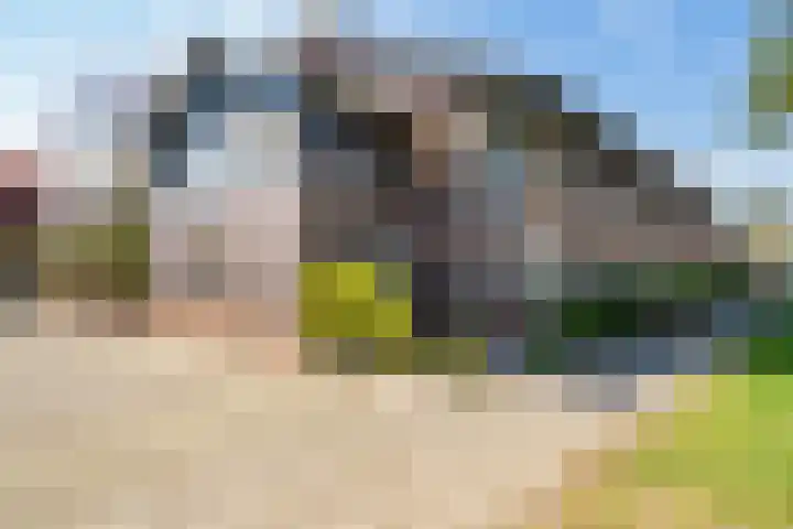 Eikenhout 2 Houten thumbnail 54