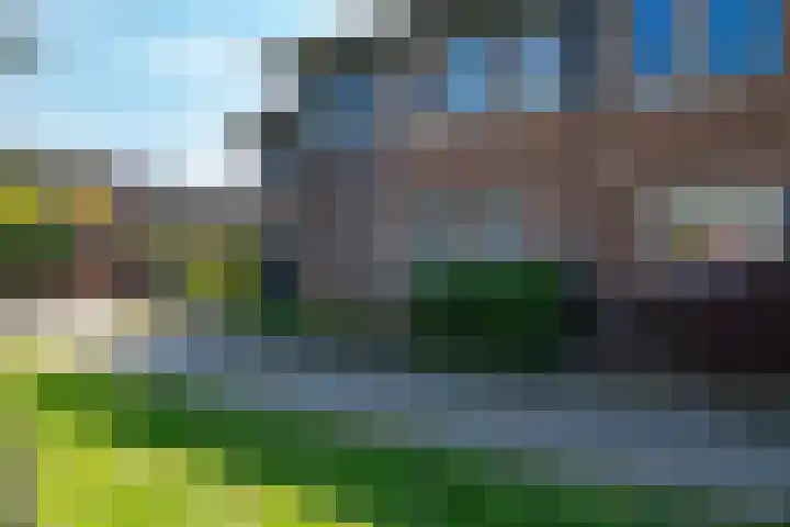 Eikenhout 2 Houten thumbnail 57