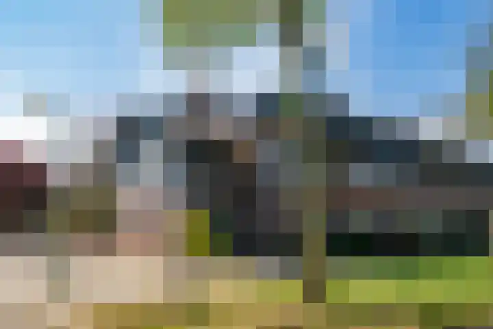 Eikenhout 2 Houten thumbnail 59