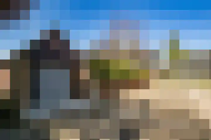 Eikenhout 2 Houten thumbnail 60