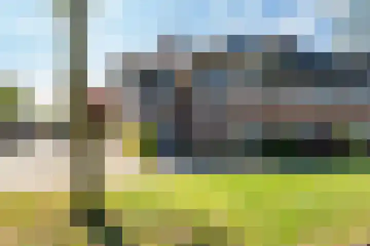 Eikenhout 2 Houten thumbnail 61