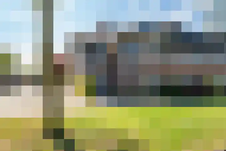 Eikenhout 2 Houten thumbnail 62
