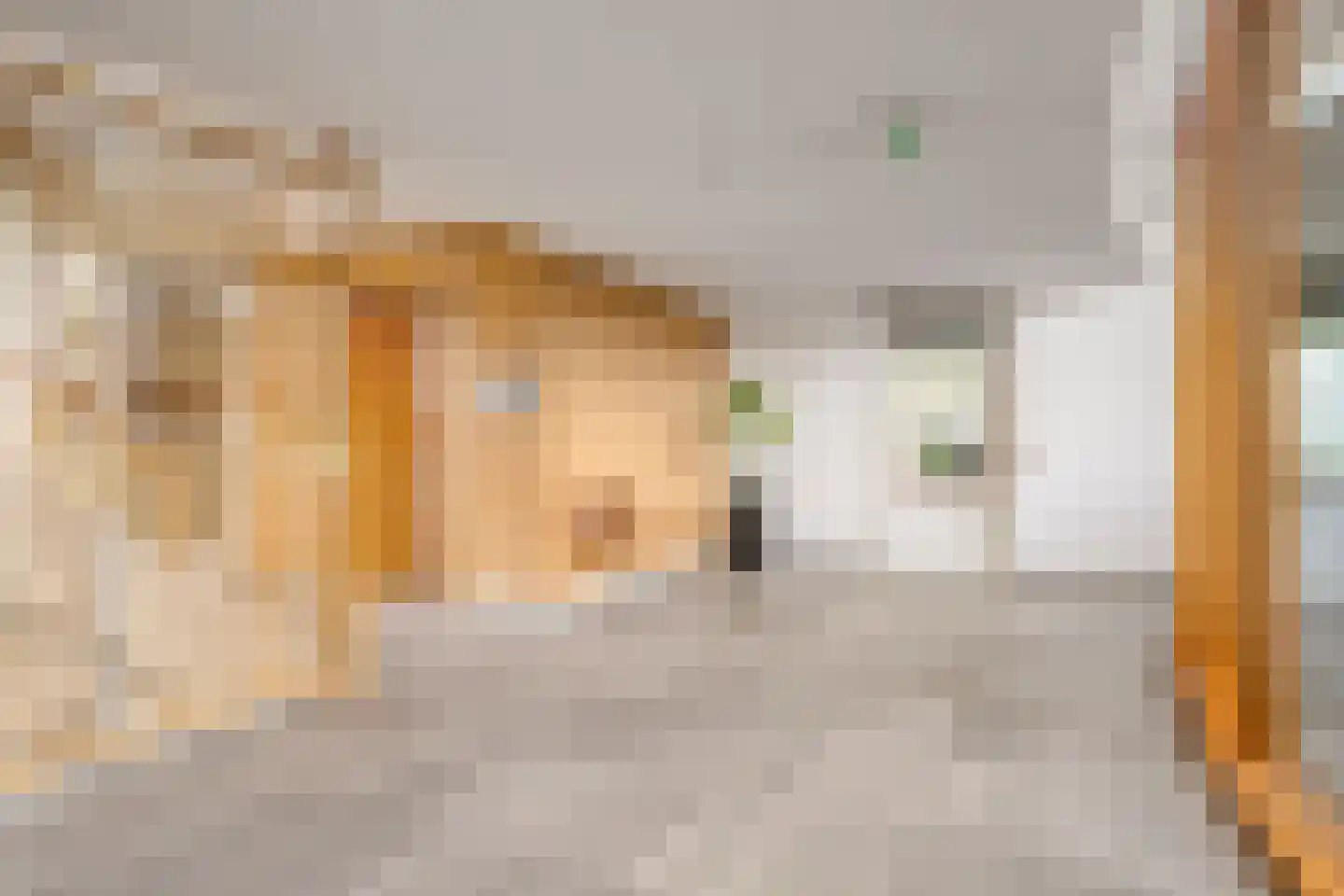 Eikenhout 31 Houten thumbnail 23