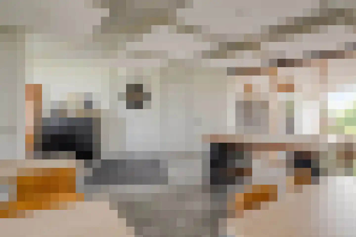 Eikenhout 31 Houten thumbnail 27