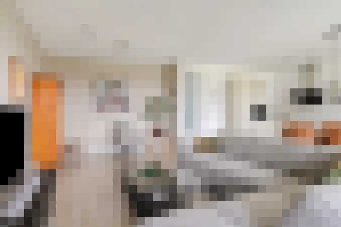 Eikenhout 31 Houten thumbnail 5