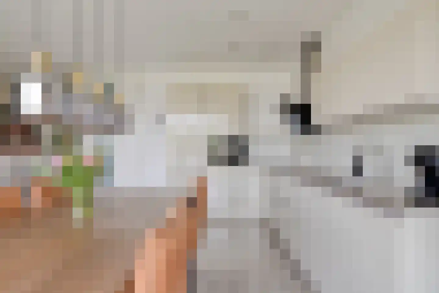 Eikenhout 31 Houten thumbnail 6