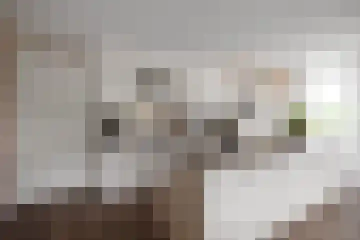 Eikenhout 333 Julianadorp thumbnail 10