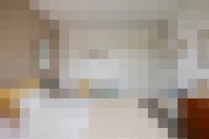 Eikenhout 333 Julianadorp thumbnail 12