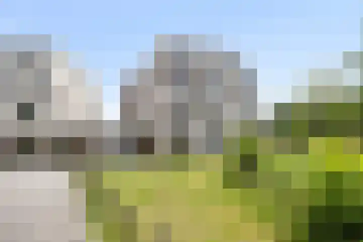 Eikenhout 333 Julianadorp thumbnail 18
