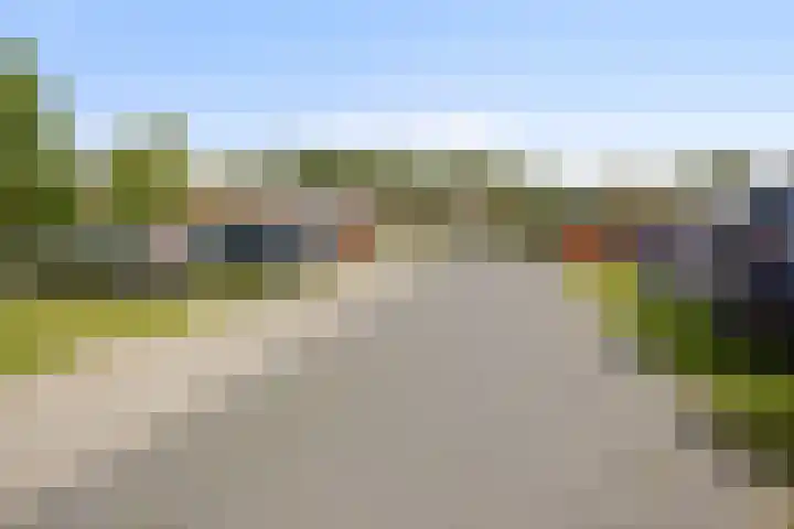 Eikenhout 333 Julianadorp thumbnail 19