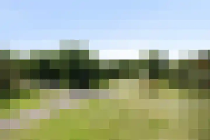 Eikenhout 333 Julianadorp thumbnail 21