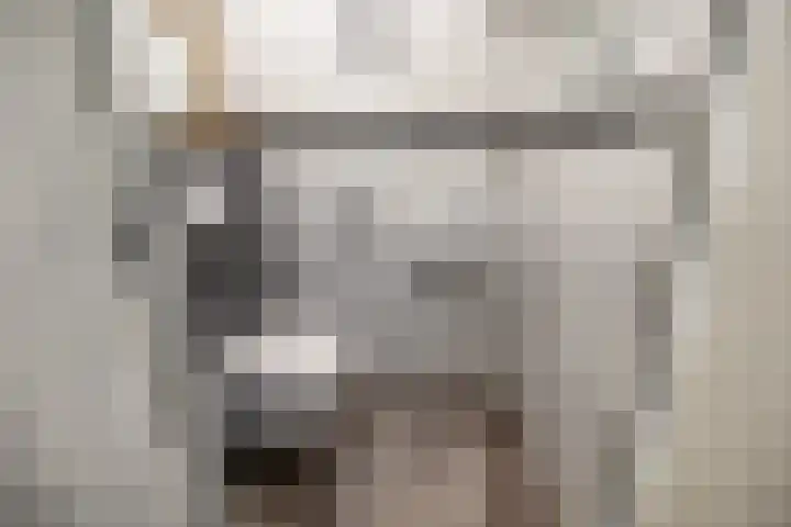 Eikenhout 333 Julianadorp thumbnail 5