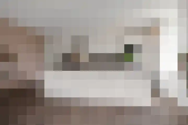 Eikenhout 333 Julianadorp thumbnail 9