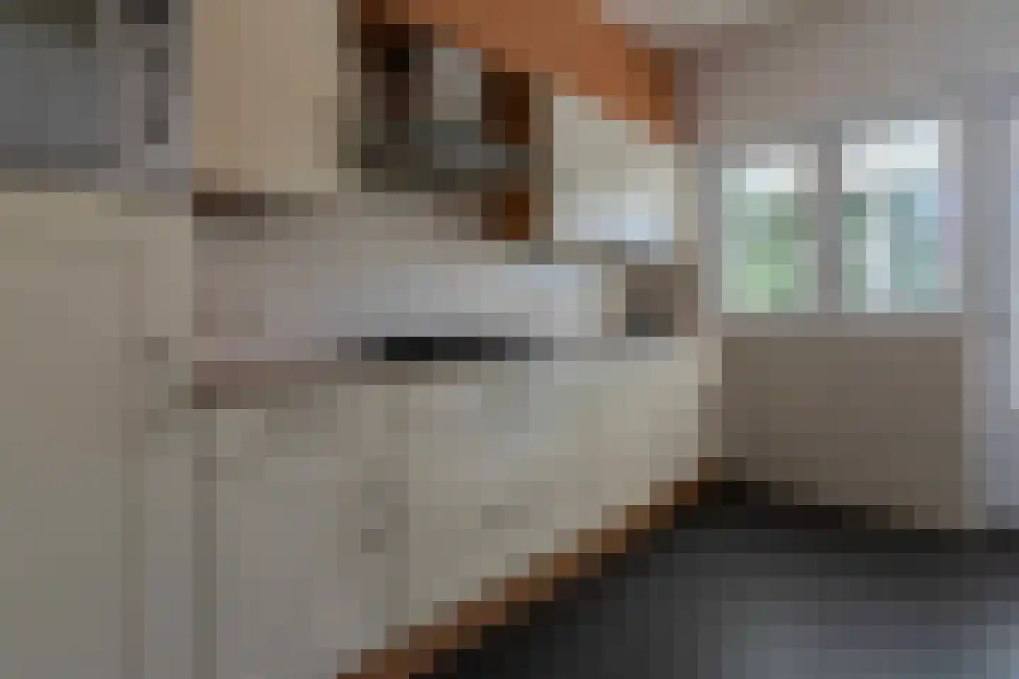 Eikenhoven 79 Maastricht thumbnail 11