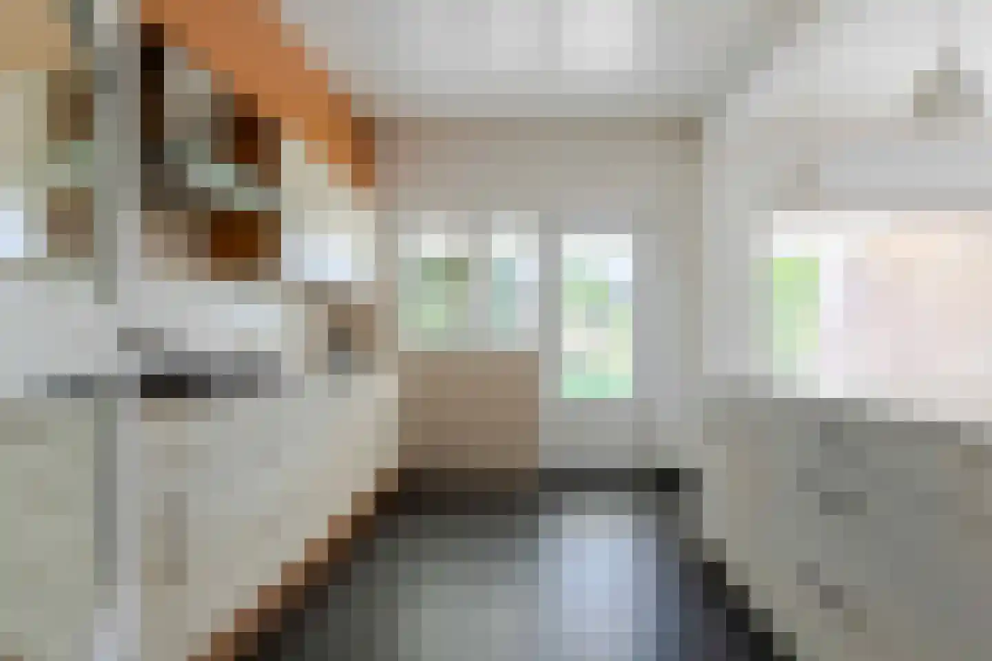Eikenhoven 79 Maastricht thumbnail 12