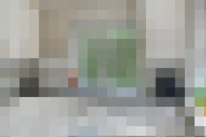Eikenkamp 6 Hattemerbroek thumbnail 18