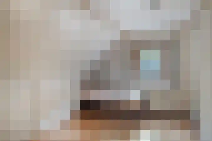 Eikenkamp 6 Hattemerbroek thumbnail 32
