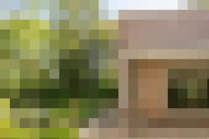 Eikenkamp 6 Hattemerbroek thumbnail 34