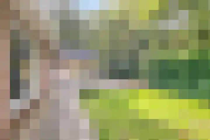Eikenkamp 6 Hattemerbroek thumbnail 35