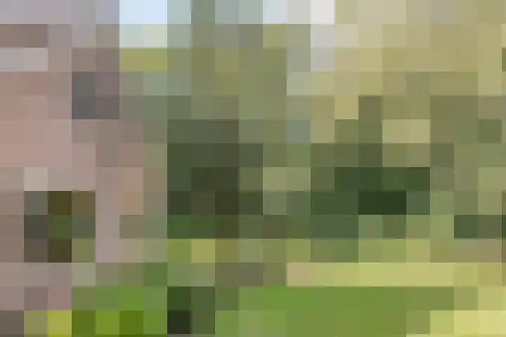 Eikenkamp 6 Hattemerbroek thumbnail 36