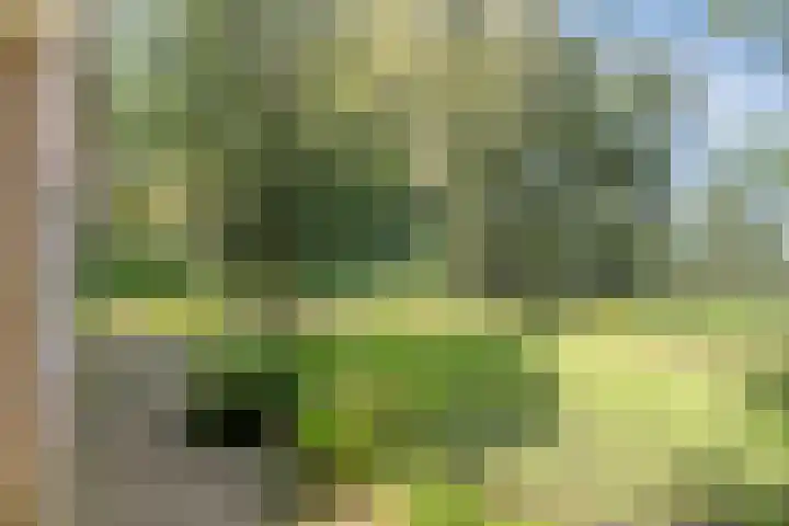 Eikenkamp 6 Hattemerbroek thumbnail 37