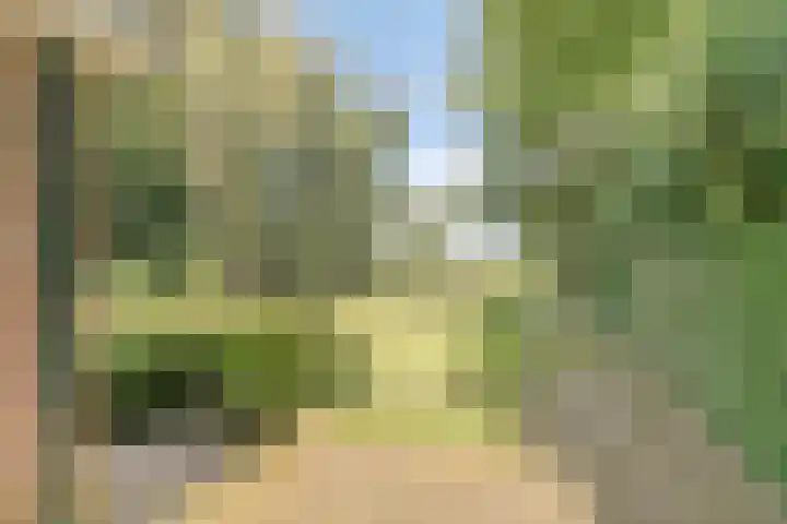 Eikenkamp 6 Hattemerbroek thumbnail 38