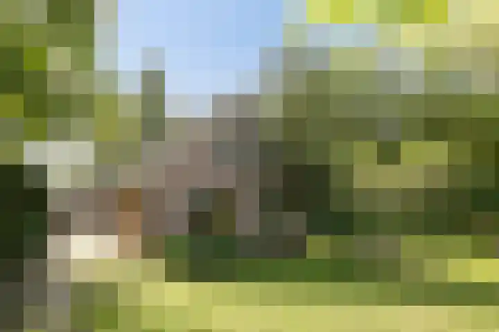 Eikenkamp 6 Hattemerbroek thumbnail 4