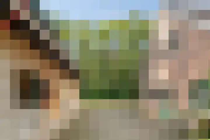 Eikenkamp 6 Hattemerbroek thumbnail 40